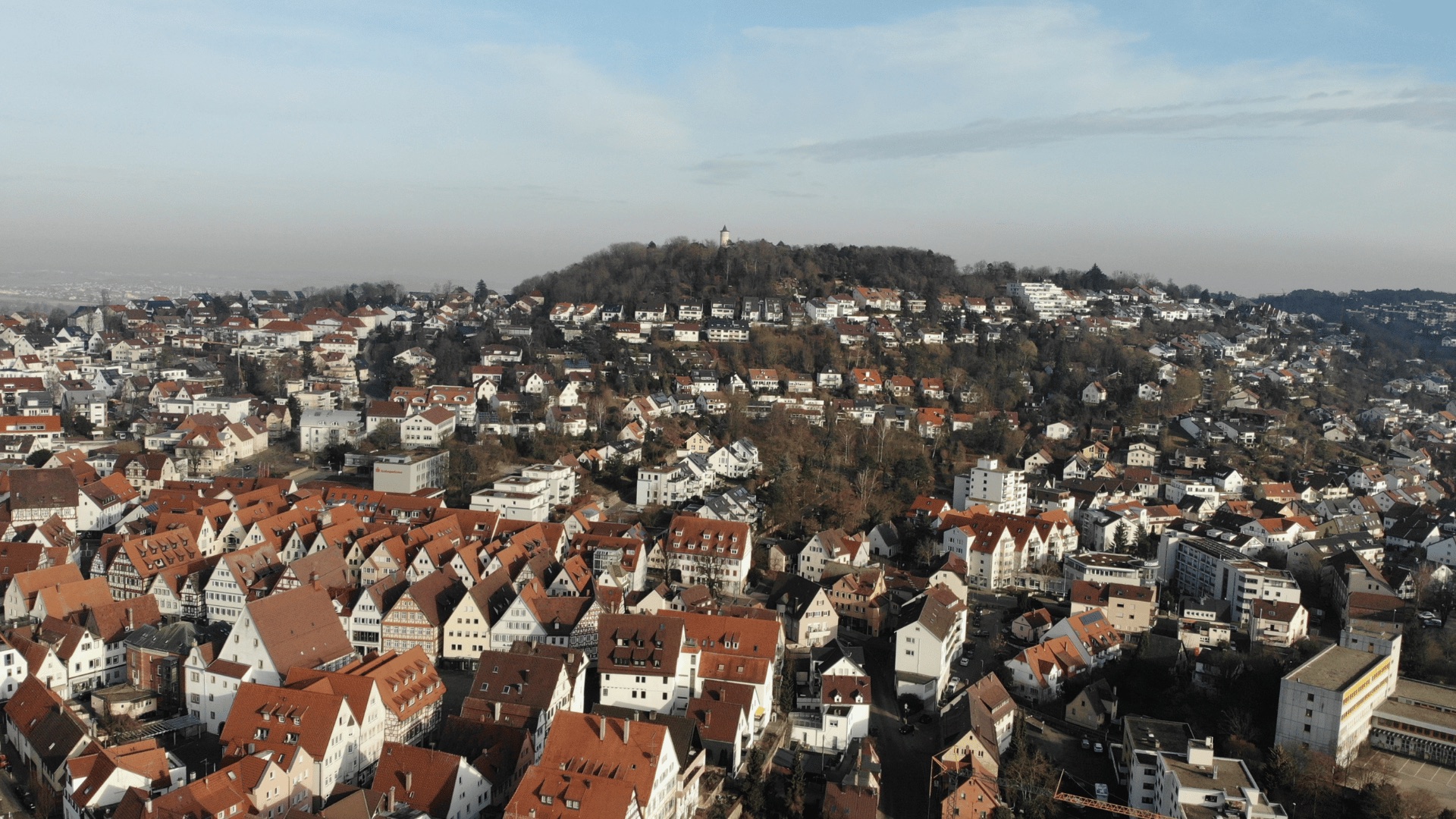 Blick über Leonberg