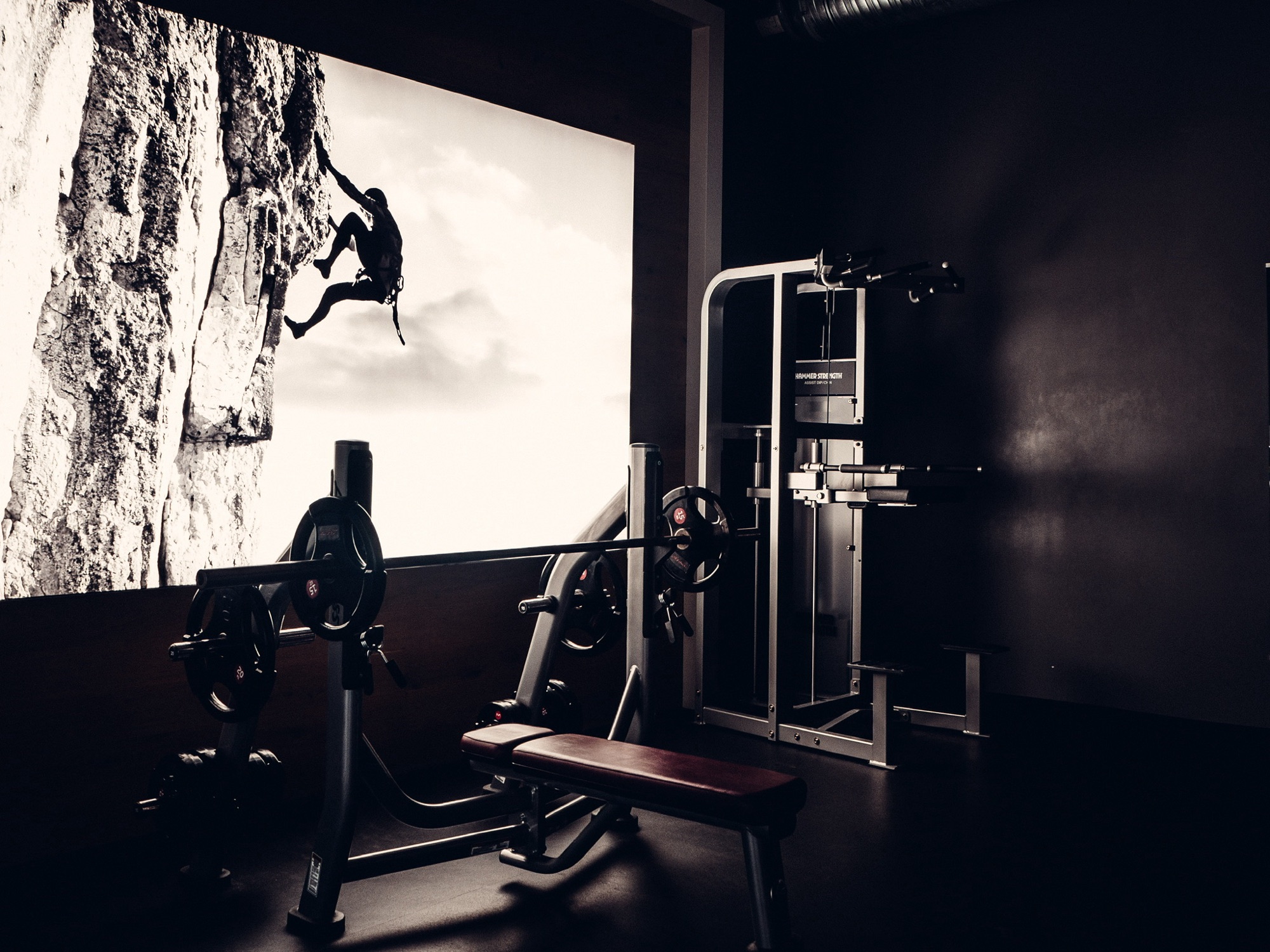 Mobility mit EGYM Smart Flex im Pro Vitess Leonberg